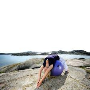 Siege Ballon Securemax pour s'assoir en se musclant le dos