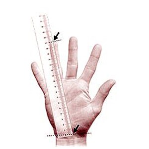 Souris HANDSHOE MOUSE de HIPPUS