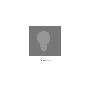 Coussin nomade Périnéal