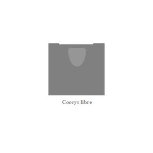 Coussin Ischions et coccyx libres