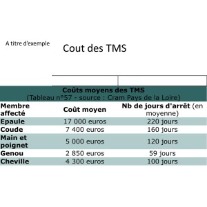 Souris  HandShoeMouse de HIPPUS