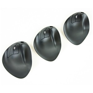 Souris HANDSHOE MOUSE de HIPPUS